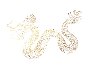 dragon-pfc