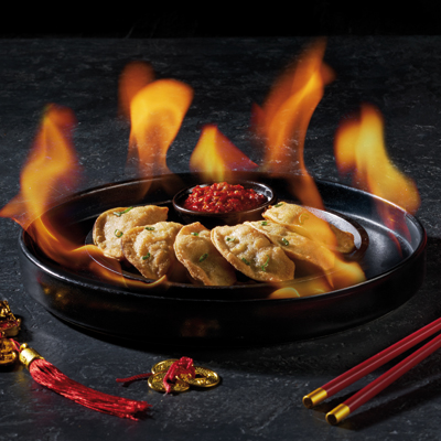 Dumplings Fried Cerdo