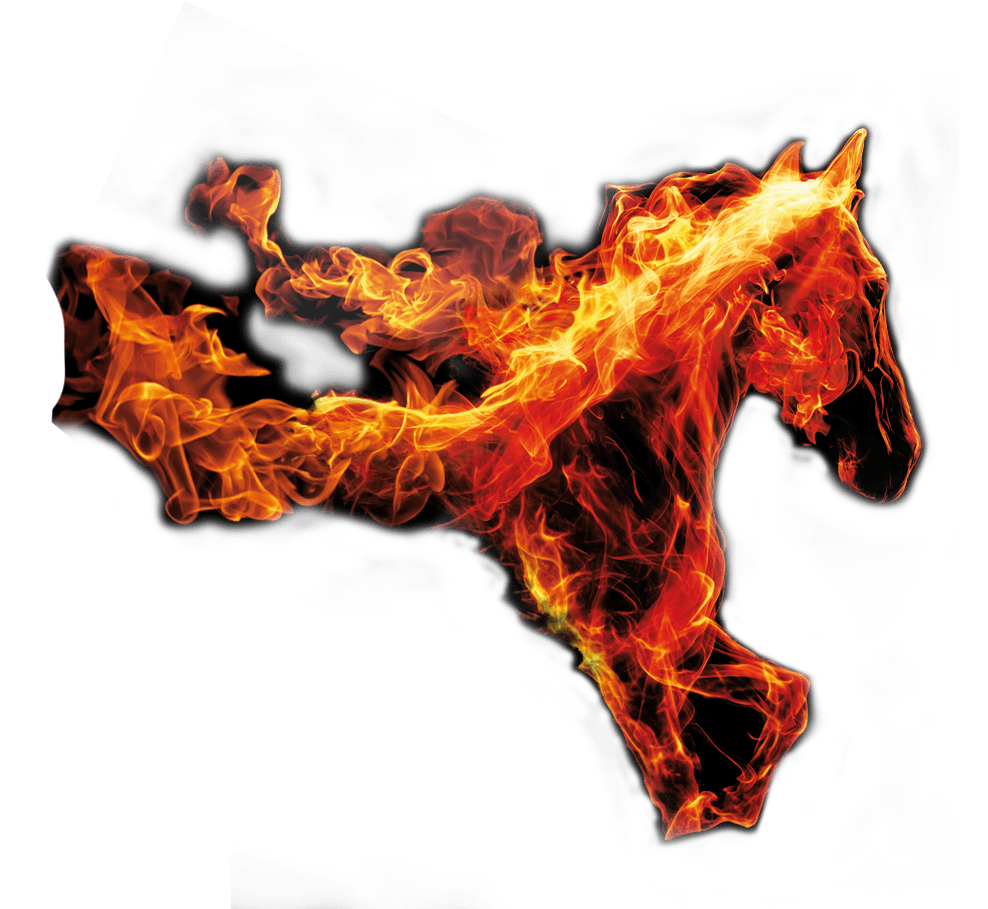 pfc-anc-caballo-2026